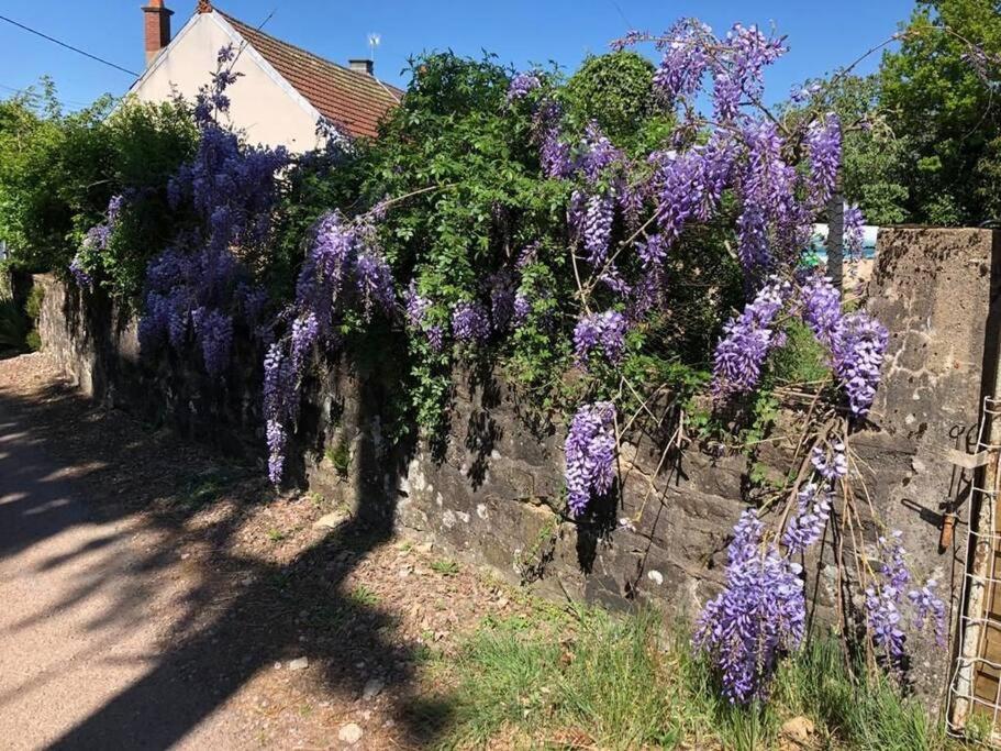 La Petite Maison D'Orphee Marmagne  Exteriér fotografie